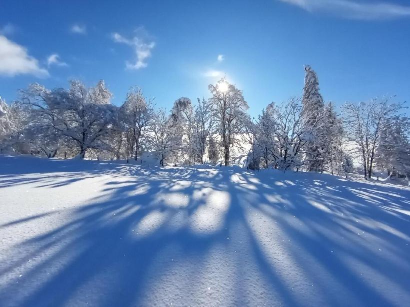 Gite De Pailherols Bagian luar foto